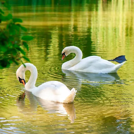 Stilvolle Ferien-geschaeftswohnung Brandenburger Seenlandschaft Апартаменты