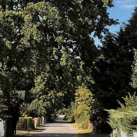 Stilvolle Ferien-geschaeftswohnung Brandenburger Seenlandschaft Kolonie Zern
