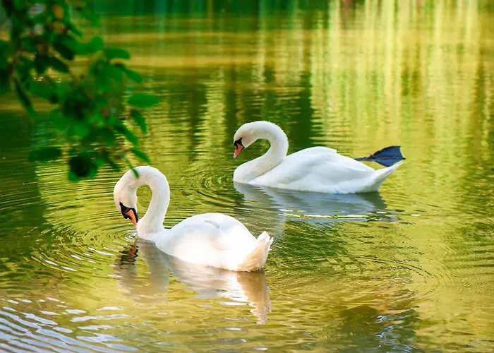 Hideaway Am Plessower דירה